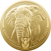 Gold Elefant 1 oz - Big Five 2022