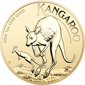 Gold Känguru 1 oz - 2022