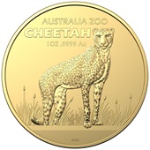 Gold Australia Zoo 1 oz - Gepard - RAM 2021