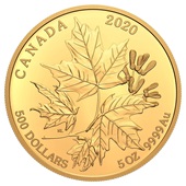 Gold Maple Leaf 5 oz Gold - PP - 2020