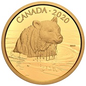 Gold Canadian Wildlife - Grizzlybär 35 g PP - 2020