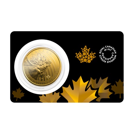 Gold Elch 1 oz - Call of the Wild Serie 2019