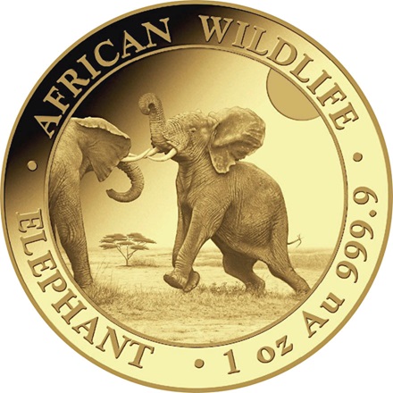 Gold Somalia Elefant 1 oz - 2024