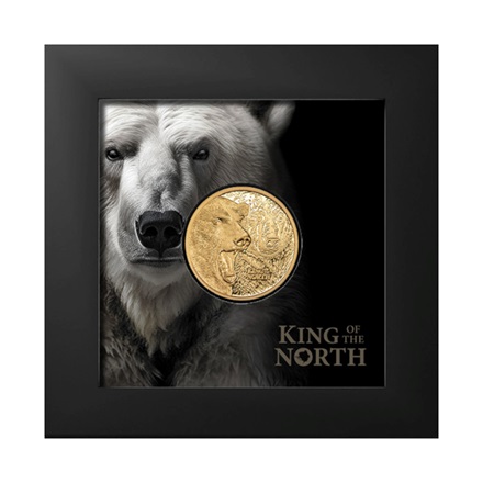 Gold Münzsatz 2 x 1/4 oz King of the North & South PP - Ultra High Relief