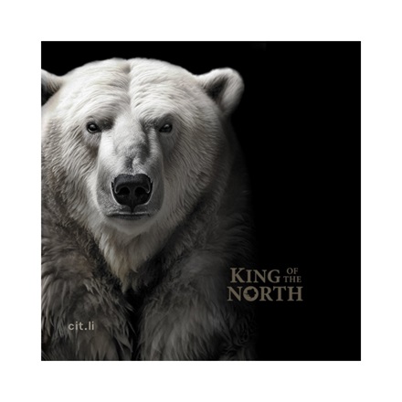 Gold King of the North - Polar Bear 1/4 oz PP - Ultra High Relief 2024