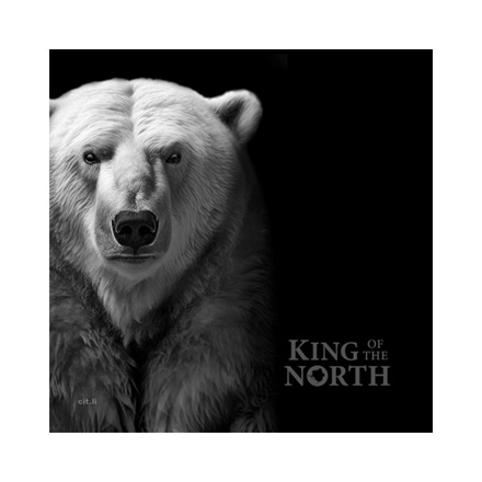 Silber King of the North - Polar Bear 1000 g PP - Ultra High Relief 2024