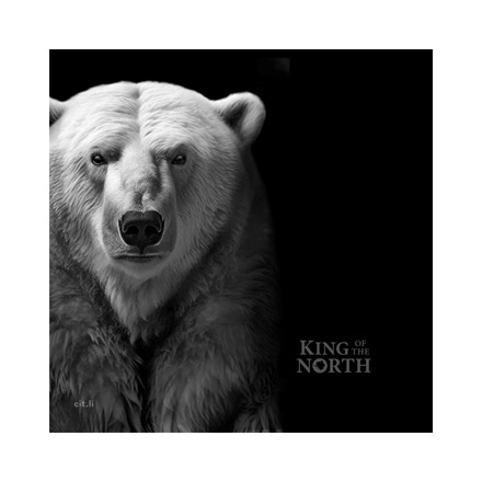 Silber King of the North - Polar Bear 1 oz PP - Ultra High Relief 2024