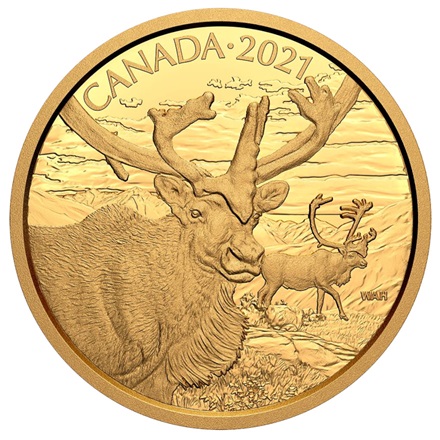 Gold Canadian Wildlife - Karibu 35 g PP - 2021